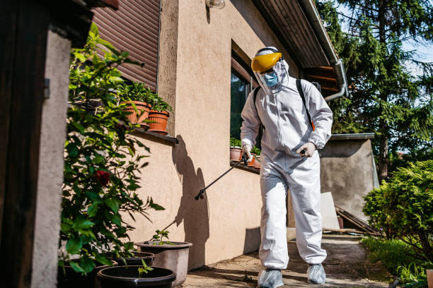 Reliable Summerdale, AL Pest Control Solutions