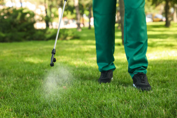 Best Mosquito Control Services  in Summerde, AL
