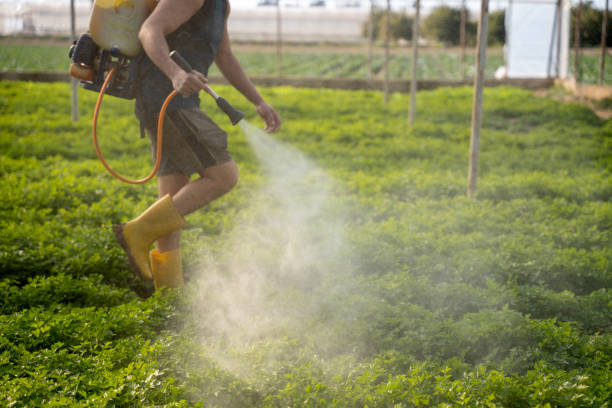 Best Exterminator Services  in Summerde, AL
