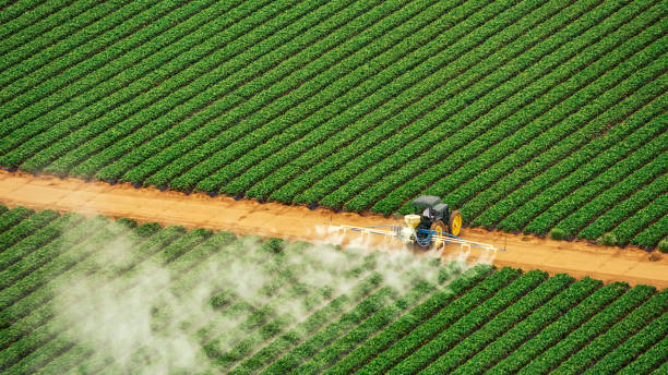 Best Best Pest Control Companies  in Summerde, AL