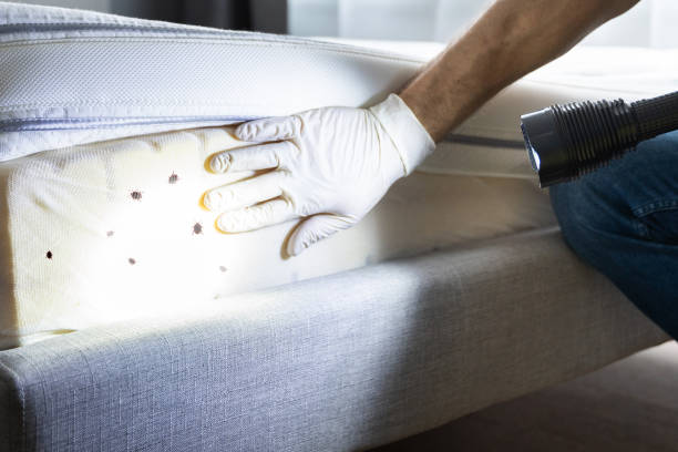 Best Pest Control Near Me  in Summerde, AL