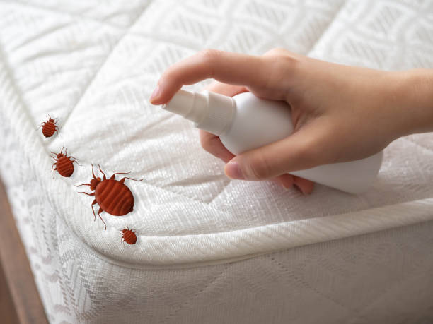 Best Bed Bug Extermination  in Summerde, AL