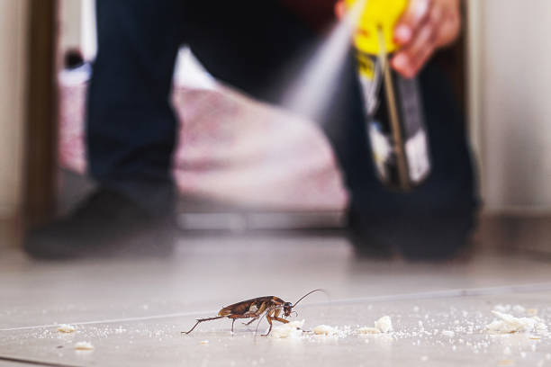 Best Wasp Removal Services  in Summerde, AL