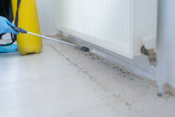 Best Affordable Pest Control Services  in Summerde, AL